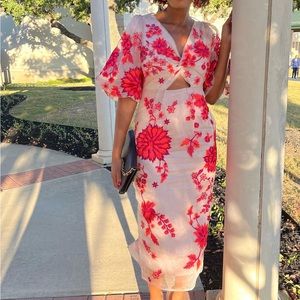 Beautiful Sheer Dress